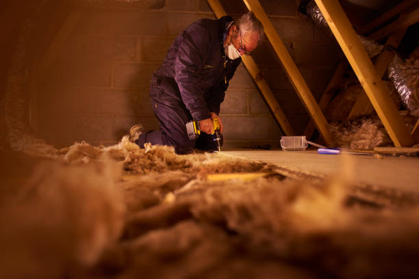 Best Geographic-Specific Insulation Services in St Regis Park, KY