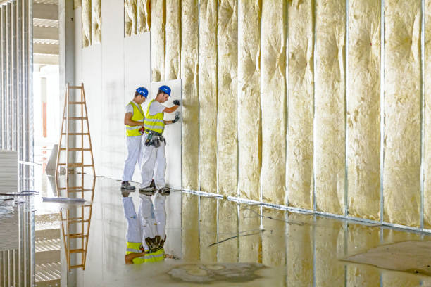Best Residential Insulation in St Regis Park, KY